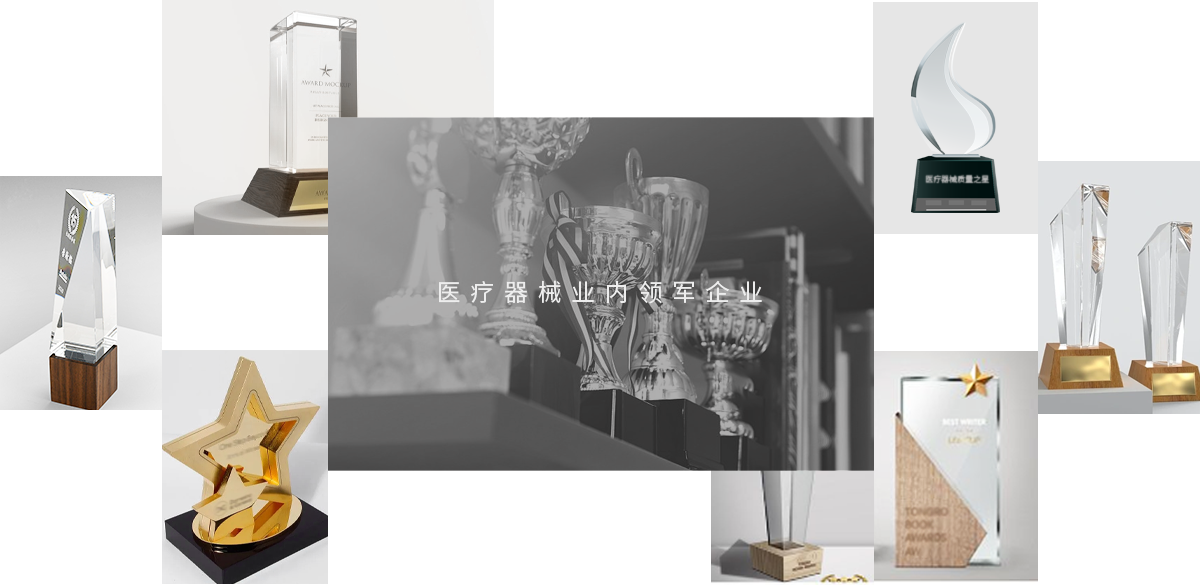 集团荣誉(图1)